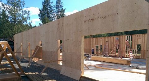 New Sanctuary under construction (June 2016)